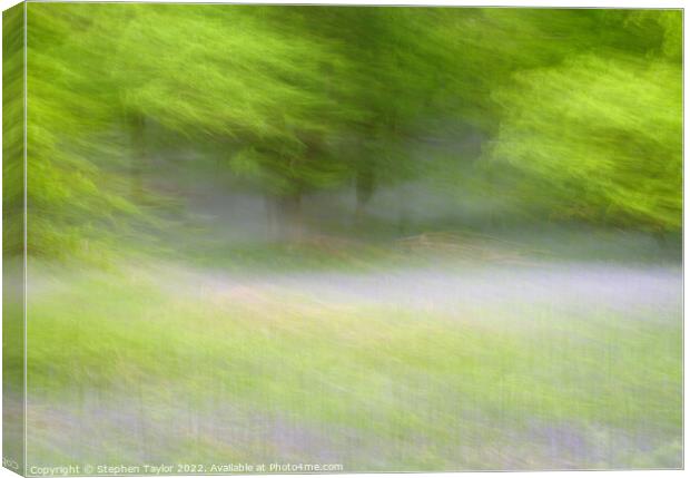 Outdoor grass Canvas Print by Stephen Taylor