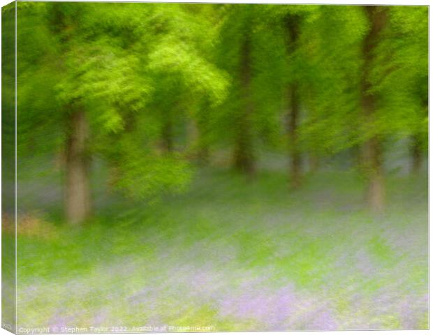 Kinclaven Bluebell woods Canvas Print by Stephen Taylor