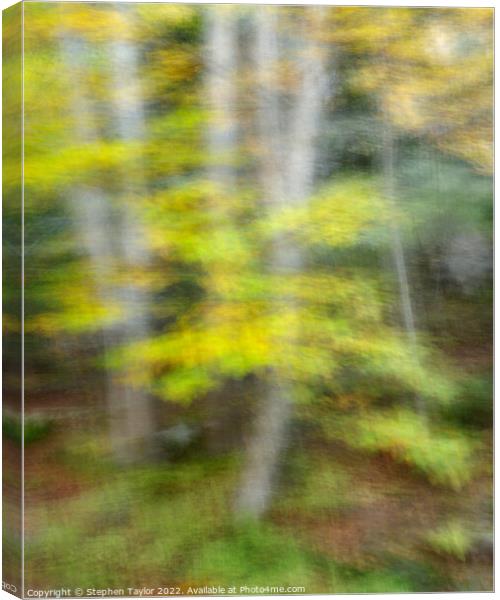 Autumn Motion Canvas Print by Stephen Taylor