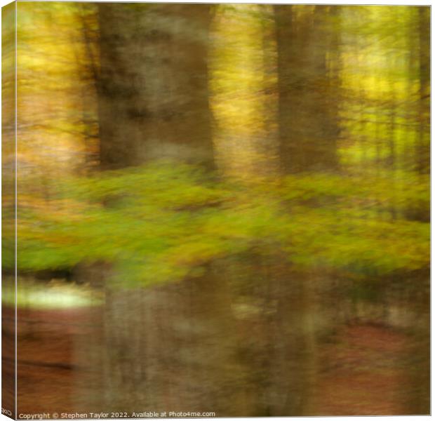 Valle de Ordesa Forest ICM Canvas Print by Stephen Taylor