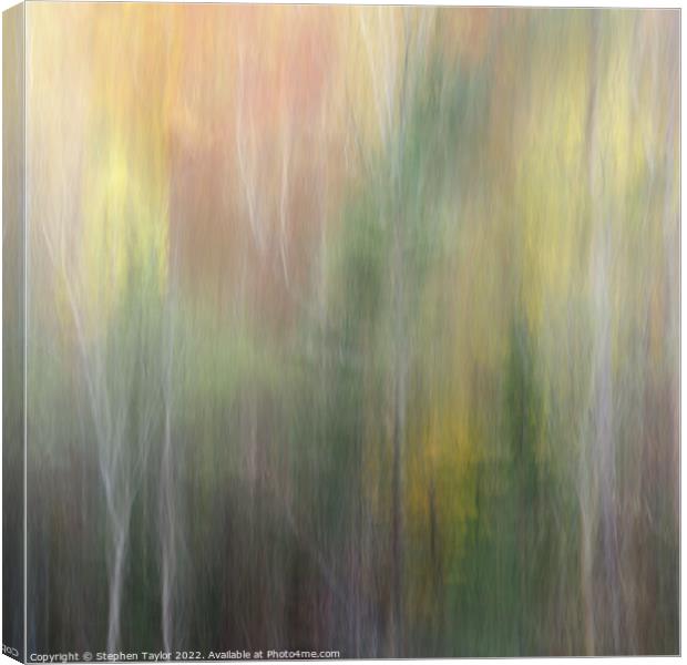 Autumn colours Canvas Print by Stephen Taylor