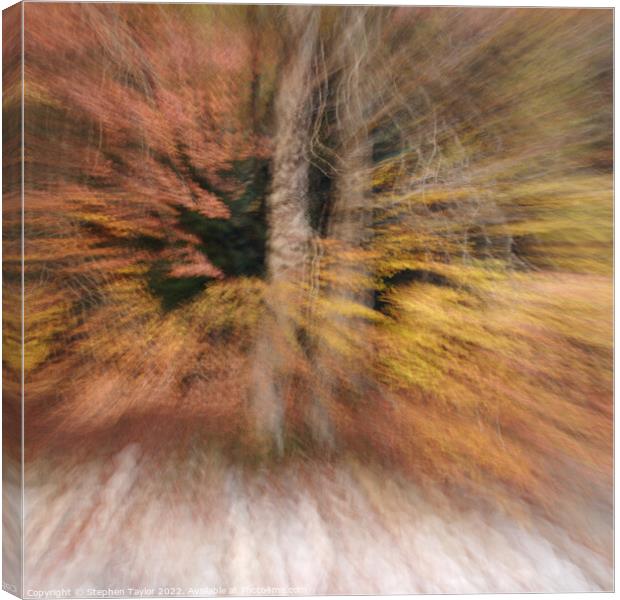 Autumn Motion Canvas Print by Stephen Taylor