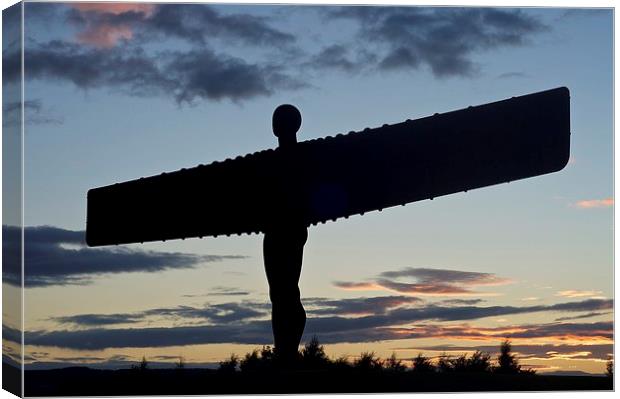 The Angel of the North Canvas Print by Stephen Taylor