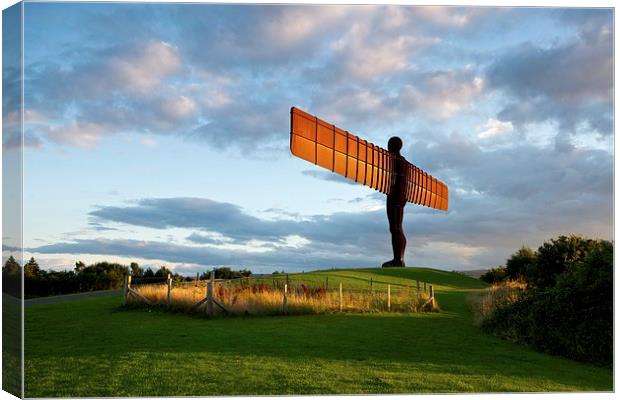 The Angel of the North Canvas Print by Stephen Taylor