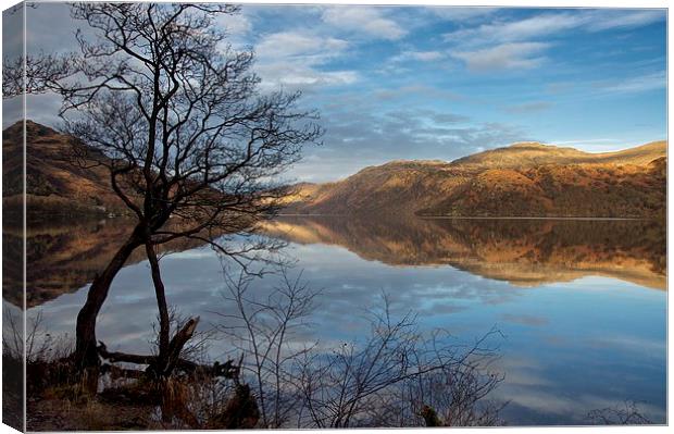  Calm on Loch Lomond Canvas Print by Stephen Taylor