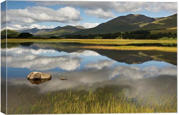 Glen Orchy Canvas Print by Stephen Taylor