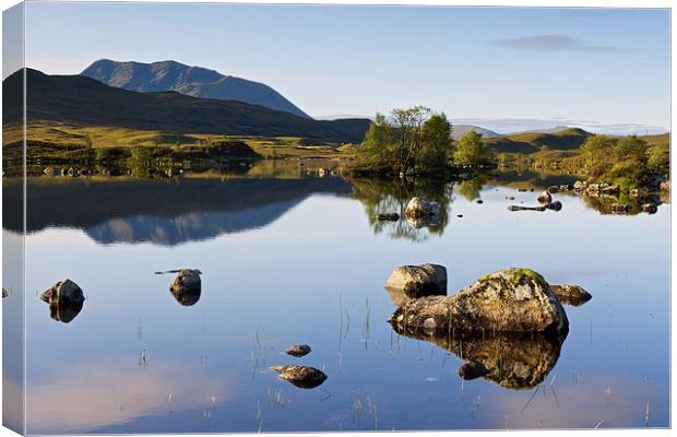  Rannoch Moor summer reflections Canvas Print by Stephen Taylor