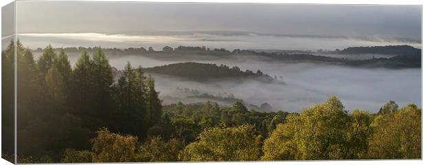  Autumn mist in the Trossacha Canvas Print by Stephen Taylor