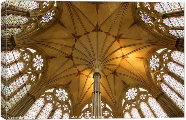 Salsibury Cathedral Chapter House roof Canvas Print by Stephen Taylor