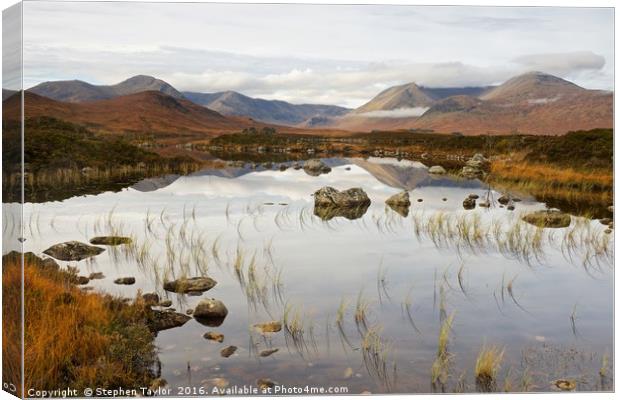 The Landscape of Rannoch Moor Canvas Print by Stephen Taylor