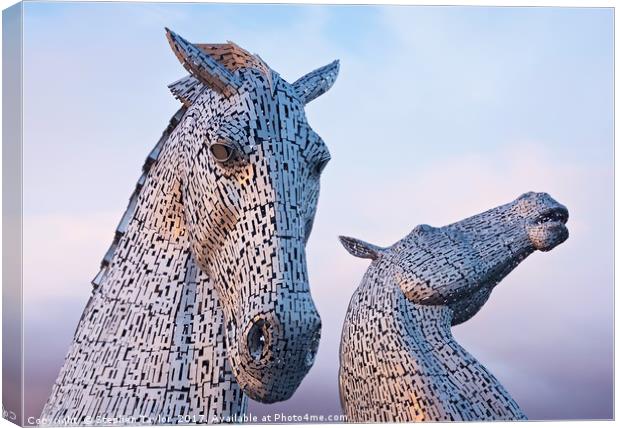 Sunset at the Kelpies Canvas Print by Stephen Taylor