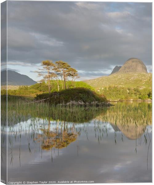 Suilven Canvas Print by Stephen Taylor