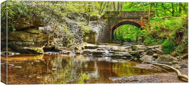 The Majestic Bridge Over Falling Foss Canvas Print by Andy Smith