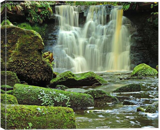 Enchanting Goit Stock Cascade Canvas Print by Andy Smith