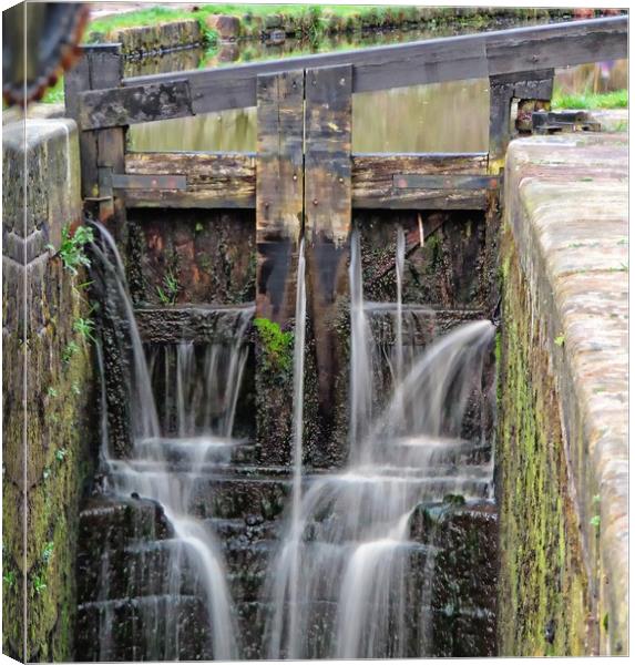 Huddersfield Narrow Canal, Lock 14W Canvas Print by Andy Smith