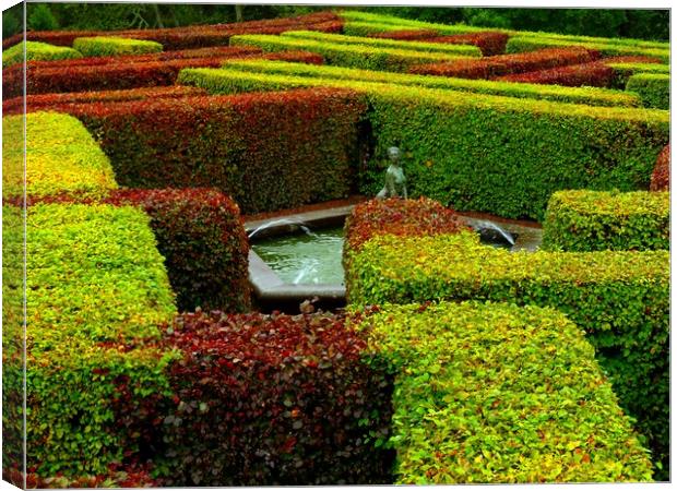           Scone Palace Maze Perth Scotland Canvas Print by Andy Smith