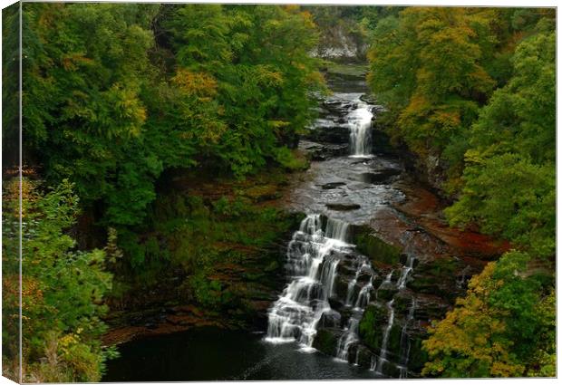           Falls of Clyde New Lanark Canvas Print by Andy Smith