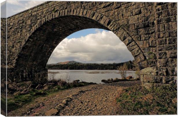 Stroan Loch Raiders Road Dumfries and Galloway     Canvas Print by Andy Smith
