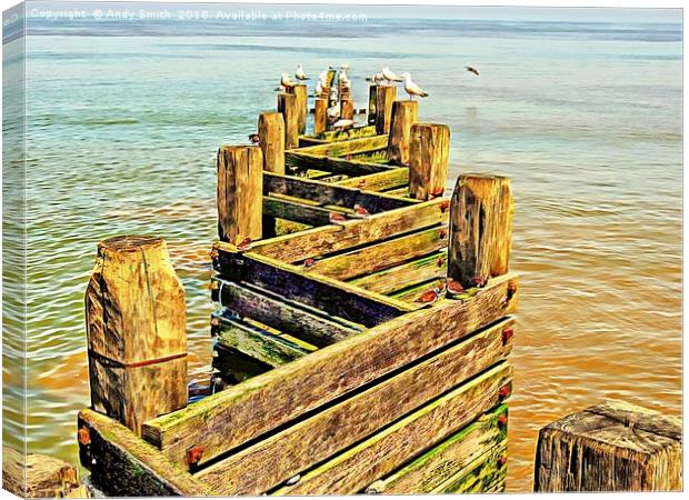 Sea defence Groynes at Walcott Norfolk           Canvas Print by Andy Smith