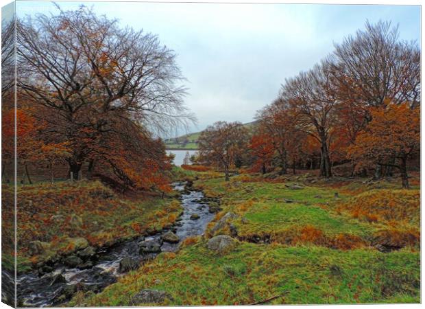 Dovestones autumn colours Canvas Print by Andy Smith