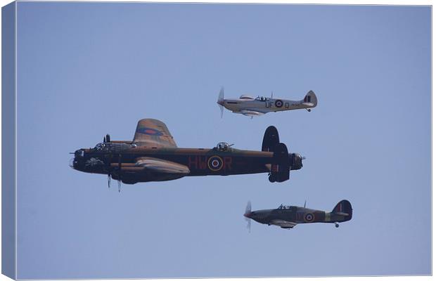 Memorral Flight Canvas Print by Terry Stone