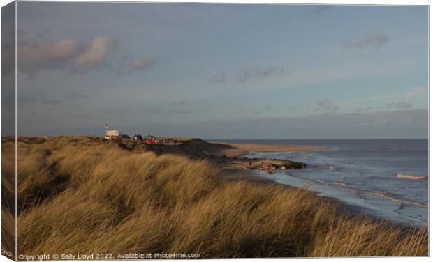Winterton-on-Sea view to the north Canvas Print by Sally Lloyd
