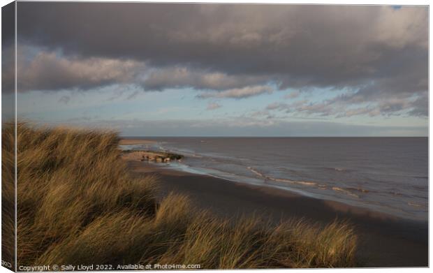 Northern view at Winterton-on-sea Canvas Print by Sally Lloyd