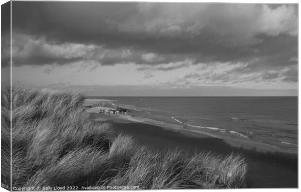 A view to the north at Winterton-on-sea  Canvas Print by Sally Lloyd