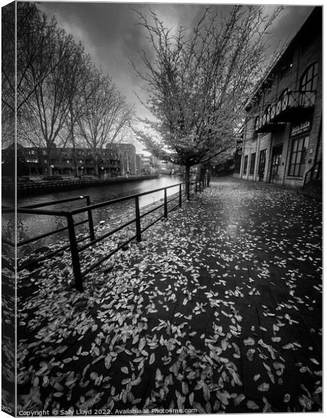 Autumn on Riverside Norwich Canvas Print by Sally Lloyd