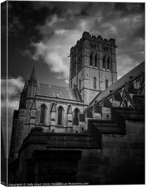 St John the Baptist Cathedral, Norwich Canvas Print by Sally Lloyd