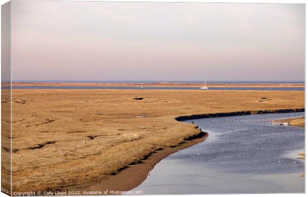 Blakeney view across the marshes  Canvas Print by Sally Lloyd