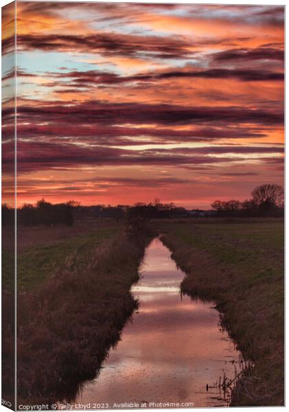 Majestic Sunset Reflection over St Benets Abbey Canvas Print by Sally Lloyd