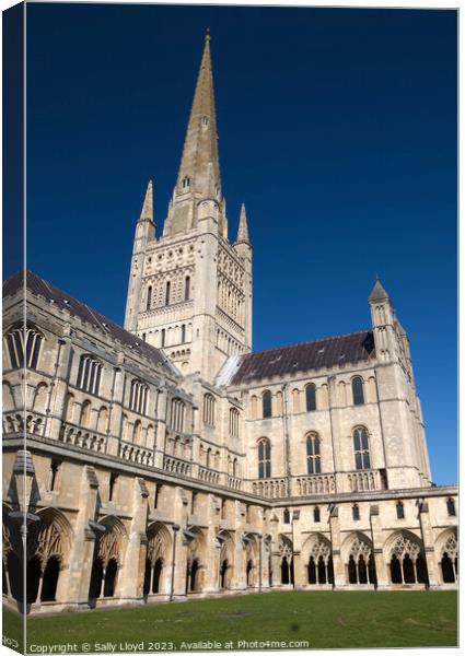 Majestic Norwich Cathedral Canvas Print by Sally Lloyd
