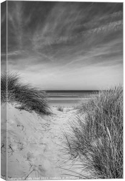 Through the Dunes at Holkham Beach, Norfolk Canvas Print by Sally Lloyd