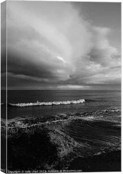 Dramatic seascape on the east coast Canvas Print by Sally Lloyd