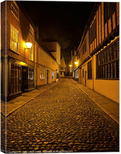 Elm Hill on a Golden Autumn Night Canvas Print by Sally Lloyd