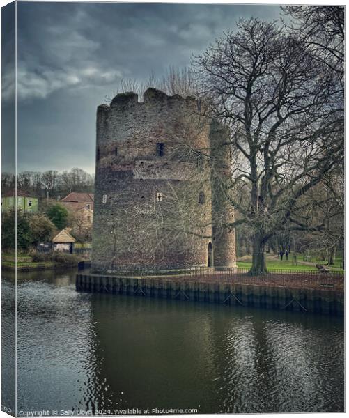 Cow Tower Norwich, from across the River Wensum Canvas Print by Sally Lloyd
