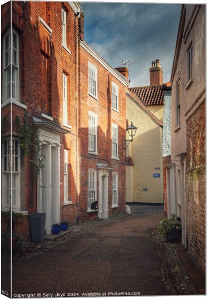 Hook's Walk in Norwich Cathedral Close Canvas Print by Sally Lloyd