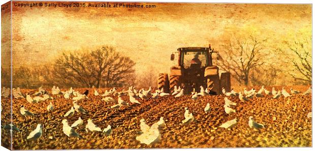  Tractor vintage style Canvas Print by Sally Lloyd