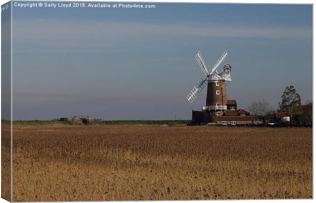  Cley Windmill north Norfolk  Canvas Print by Sally Lloyd