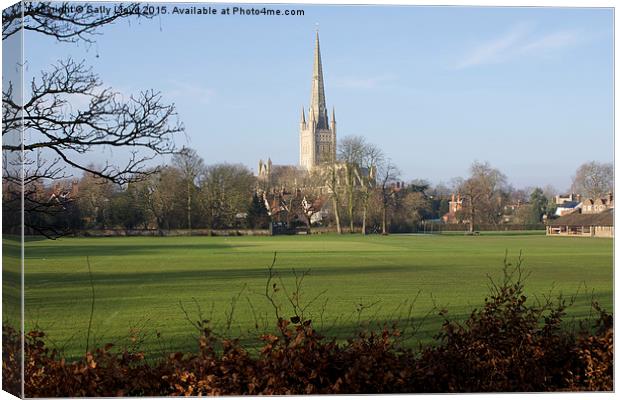  Norwich Cathedral Norfolk UK Canvas Print by Sally Lloyd