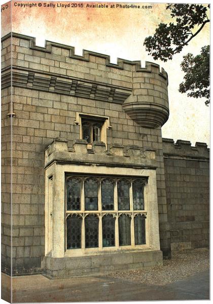  Castle window Canvas Print by Sally Lloyd