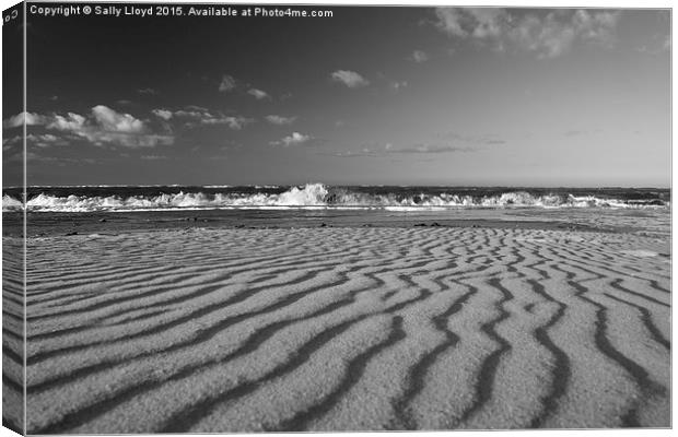  Sand ripples Canvas Print by Sally Lloyd