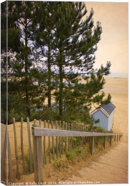 Single Blue Beach Hut Canvas Print by Sally Lloyd