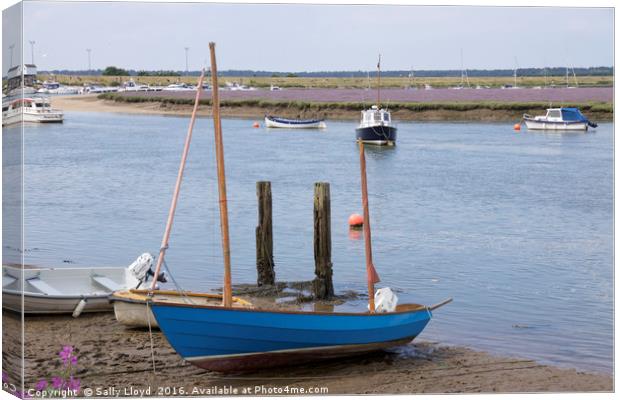 Blue boat and Lavender Canvas Print by Sally Lloyd