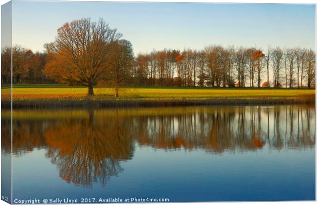 Reflections at Blickling in Norfolk  Canvas Print by Sally Lloyd