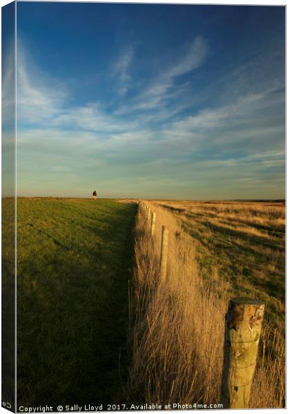 The path to Cley Canvas Print by Sally Lloyd