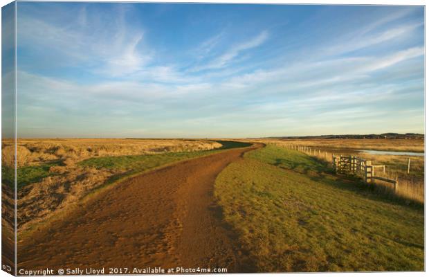 The winding path to Cley Canvas Print by Sally Lloyd