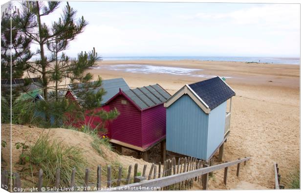 Pink and Blue Beach huts at Wells-next-the-Sea Canvas Print by Sally Lloyd