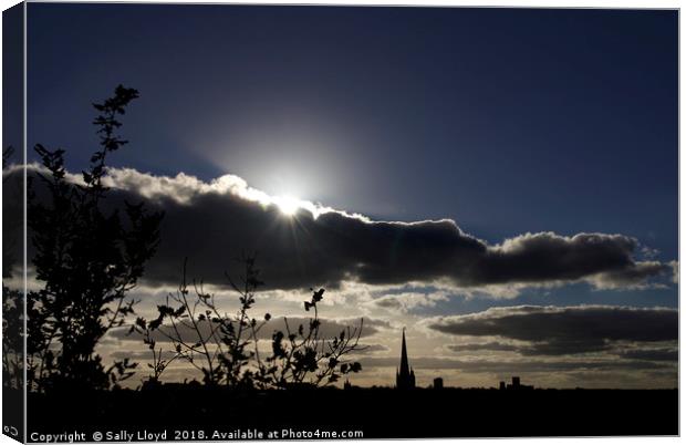 Norwich Cathedral Sunset Canvas Print by Sally Lloyd